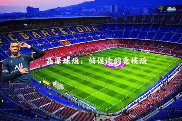 高原球场：被误读的竞技场
